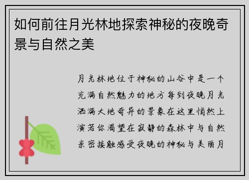 如何前往月光林地探索神秘的夜晚奇景与自然之美